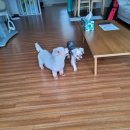 해피팬션 이미지