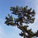 심복주 가옥 | 목포 여행 도시재생 옥단이길