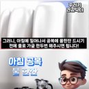 와송노래
