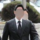 비아격투핏