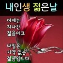 벌 쏘인 형부 이미지