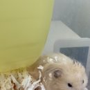 두만농장 이미지