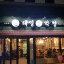 양지로184번길 네이버블로그