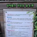 삼척활기자연휴양림 이미지