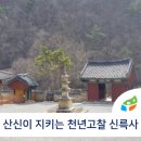 새냉이쉼표 | 제천가볼만한 곳 월악산 산신이 지킨다 천년고찰 신륵사