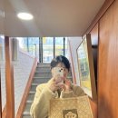 [대전] 은행동 성심당 샌드위치 정거장
