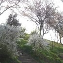 부대찌개동촌 이미지