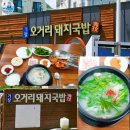 꼼돼지 | 부산 기장시장맛집 현지인 추천 기장오거리돼지국밥-수산물전문가 꼼꼼후기