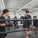 힘난다복싱