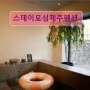 스테이모심 제주펜션 이미지