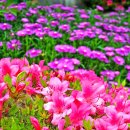 운문우체국 이미지