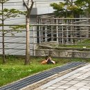 평택소화유치원 | 무니일기 79 | 밀린 일기 2