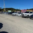 화순고인돌보호각 공중화장실 | 광주근교 화순 고인돌 가을꽃 축제 주차 축제정보 DM콘서트 탐방버스 후기