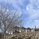 BnB화천 | 화천 펜션 / BnB펜션 (비앤비펜션) 푸오바오 숙박기