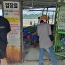 남해 전도갯벌체험장/ 둔촌갯벌 체험장 쏙잡이 생생 후기!