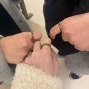 타이어프로 우정점 | 임신 중후기 일상 (1~2월)