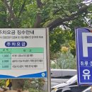 장흥숲길캠핑장 이미지