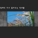 동영상 제작하기(파워디렉터) 이미지