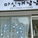 마싯개냠냠 이미지