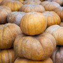 호박한의원 이미지