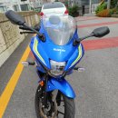 [충남 당진]스즈키 gsx-r125 (2018) 팝니다 이미지