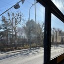 그린애견 | [서울/강서구] 대중교통 타고 다녀온 헤이더그린 애견카페 솔직 후기🐶