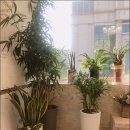 명문가결혼정보 이미지