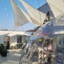 오정구 역곡로 494 건물 | 까치울역 루프탑 베이커리 카페 시시, 20년 동네 주민이 CAFE 거리 보다 여길 픽한 이유?