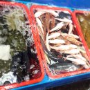 포항가자미회 이미지