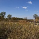 여주-1056 이미지