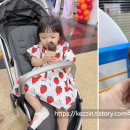 DQ소프트 이미지