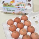 자연을담은밥상 | 푸드코리아 난각번호 1번계란 자연을담은 방사유정란 솔직 후기