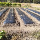 금곡농약 이미지