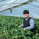 당도 - 춘천시 충혼길18번길 1 | 당도