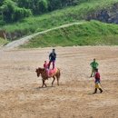 라온더마파크 이미지