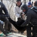 꼬마동물병원 이미지