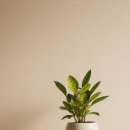 섬유소재 활용한 나만의 소품만들기 | 실습) AI를 활용한 광고 콘텐츠 제작