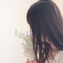 밈(MIM) 이미지