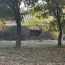 광교임시수련원 중앙일보