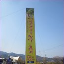[3월 27일(일요일)]전남 구례 산수유축제 산수유 꽃담길 트래킹 이미지