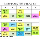 숨요가 네이버블로그