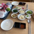 진도포항횟집참치 이미지