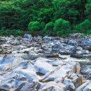 바위공원 화장실 이미지