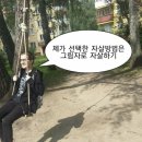 파트라슈 이미지