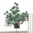 오리엔탈 이미지