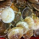 독곳수산 이미지