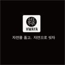 쏘그린 이미지