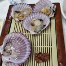 진경이네 | 속초 100% 내돈내산 솔직후기 / 외옹치항 진경이네 횟집 / 자연산 활어회, 매운탕 맛집