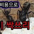 개미약국 이미지