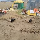 해룡농장 이미지